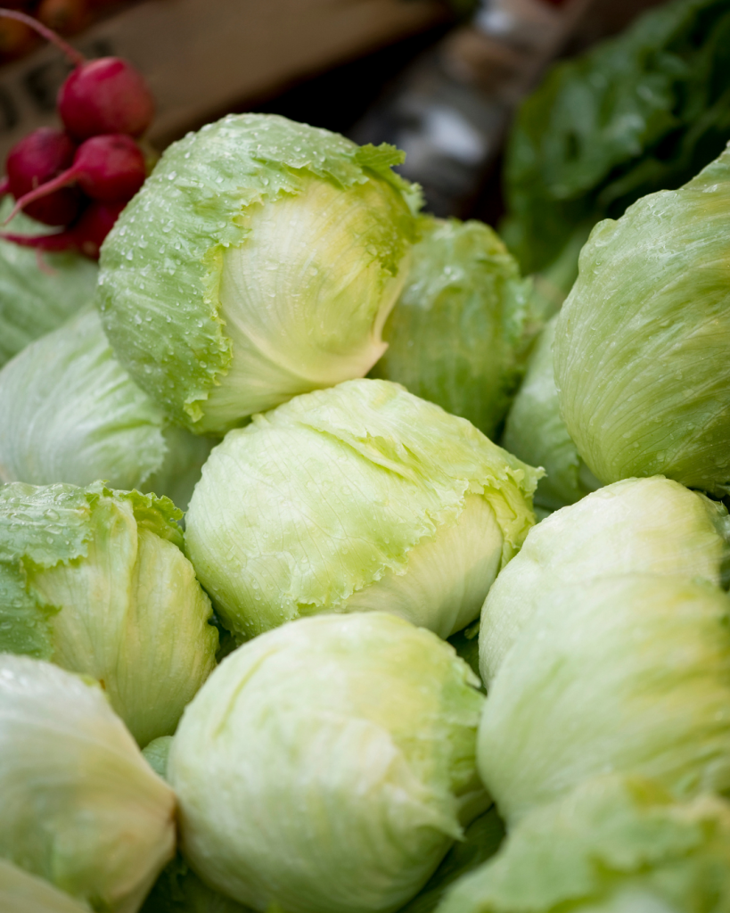 Kenali Perbedaan Selada Biasa dan Selada Iceberg Sebelum Mengolahnya