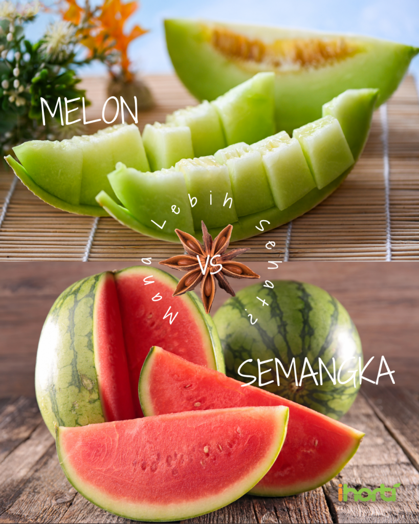 Melon vs Semangka: Mana Lebih Sehat?